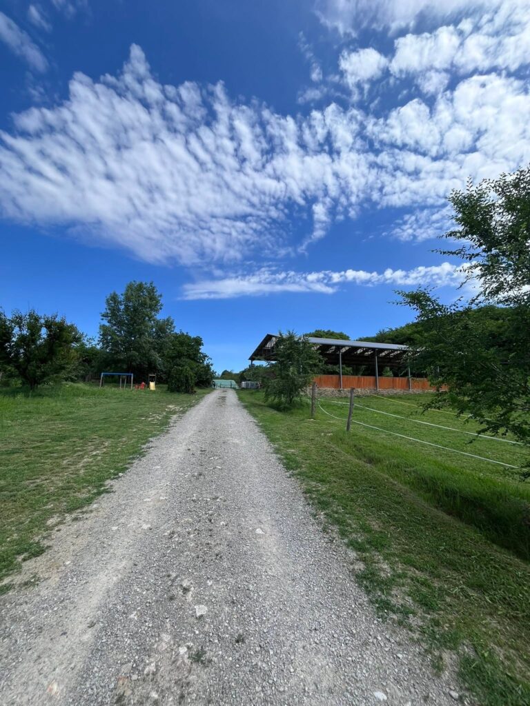 kaputol fel 768x1024