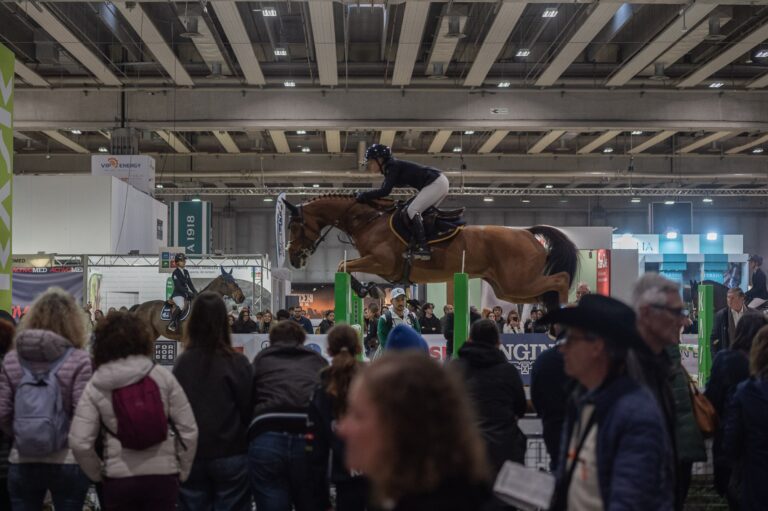 Fieracavalli2025 Veronafiere Ennevi Foto 6840 768x511