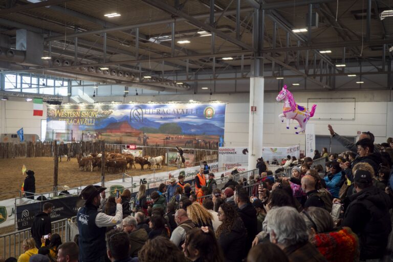 Fieracavalli2025 Veronafiere EnneviFoto 104 1 768x512
