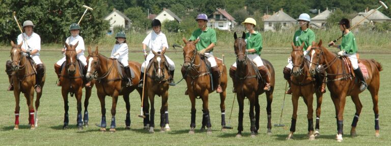 1 Gyerekek jateka1.jpg a 2 csapat 768x287