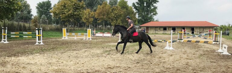 MPC 2019 09 08 Dijurato55 JV 768x244