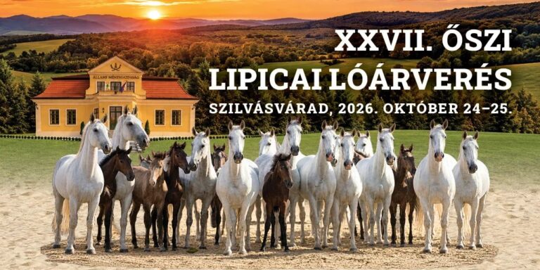 27 oszi lipicai loarveres cikk d3903a8e 1 768x384