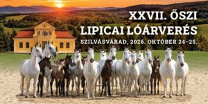 27 oszi lipicai loarveres cikk d3903a8e 300x150